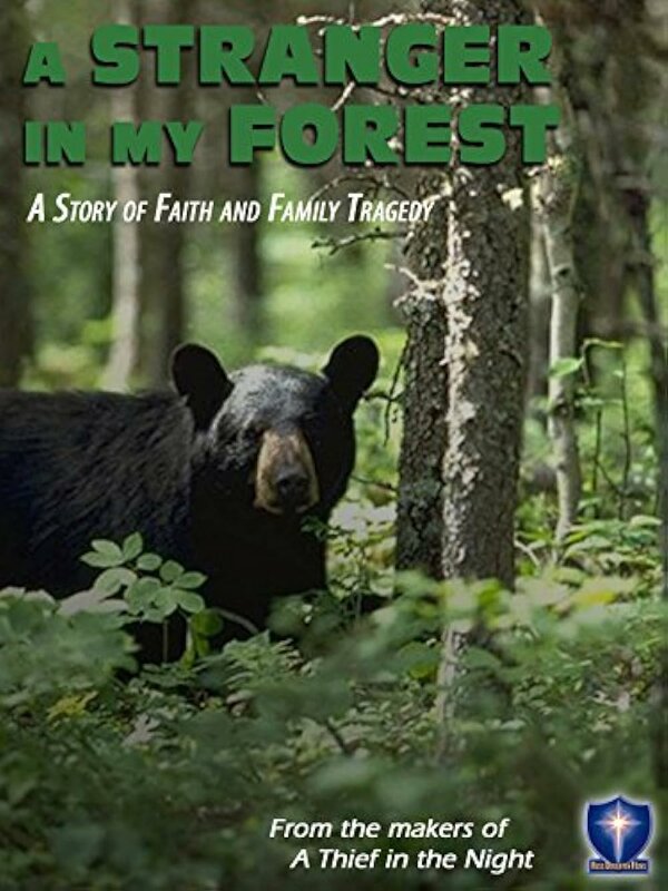 Постер фильма A Stranger in My Forest