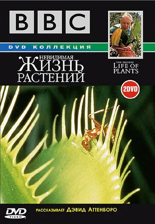 Постер BBC: Невидимая жизнь растений (1995)
