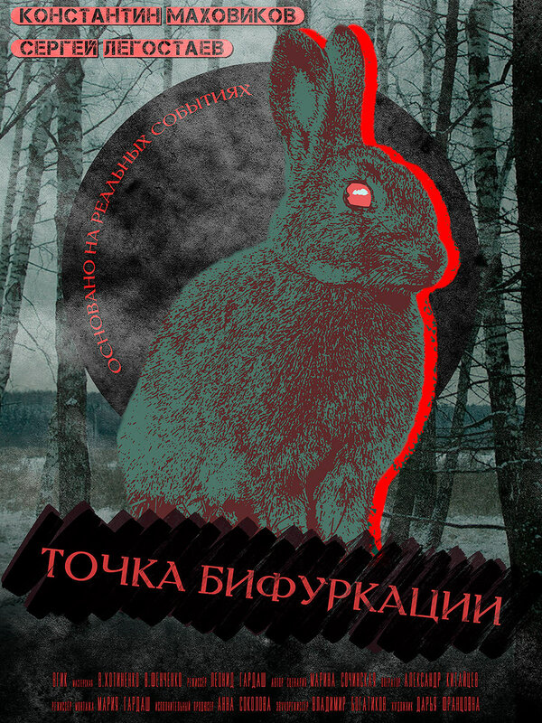 Постер фильма Точка бифуркации
