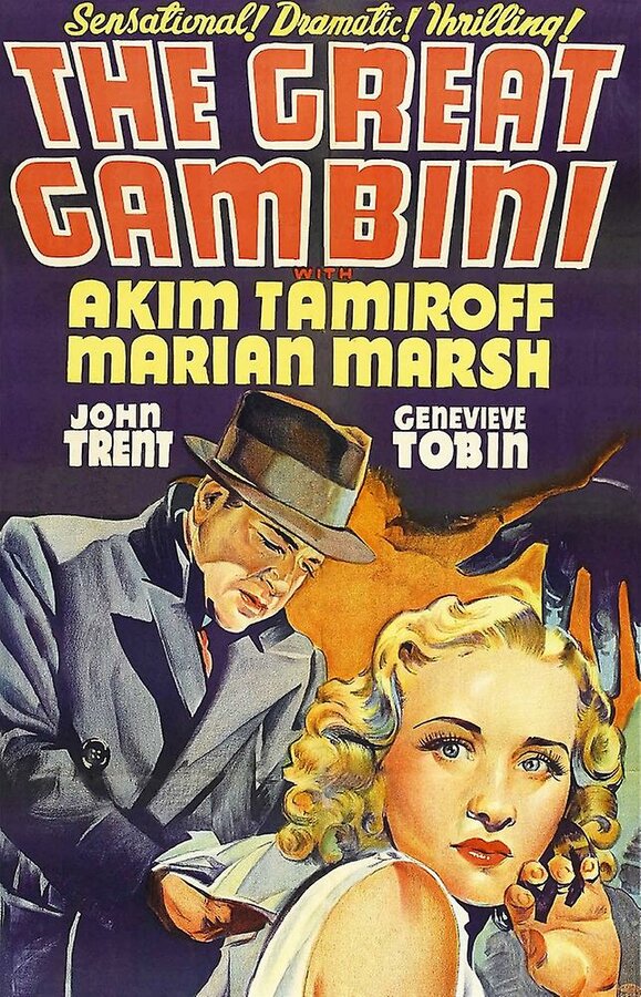 Постер фильма Великий Гамбини