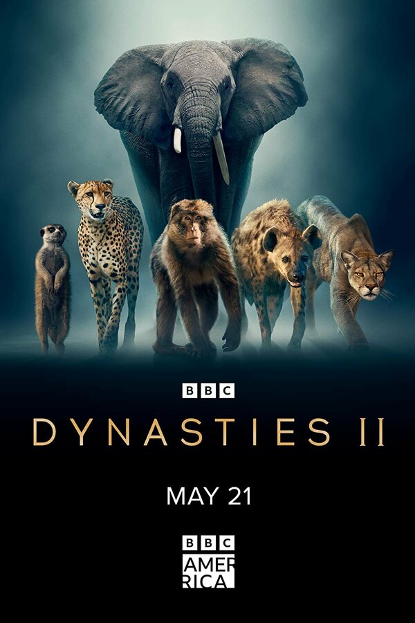 Постер сериала Dynasties II