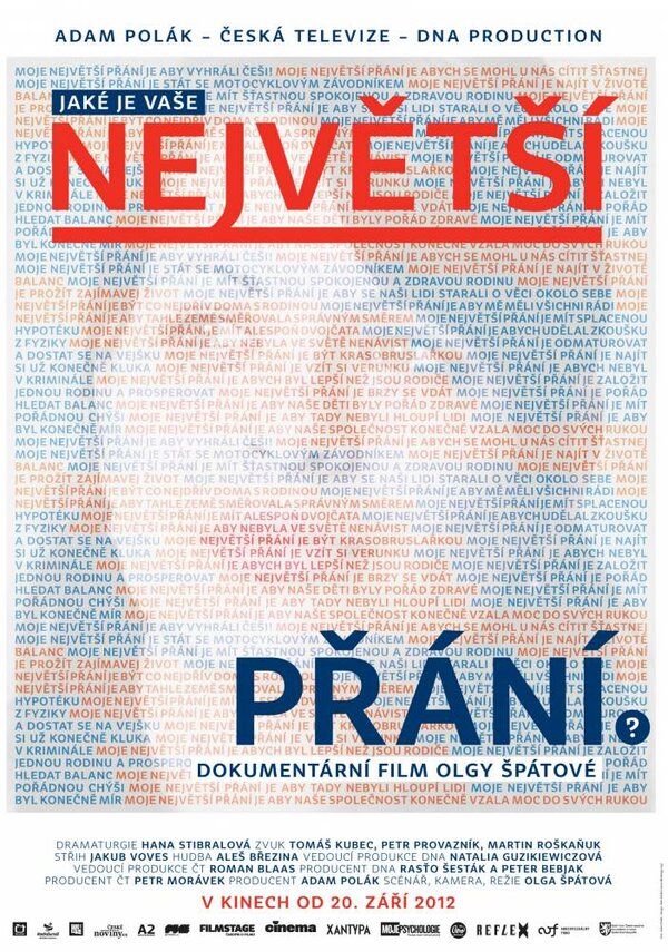 Постер фильма Nejvetsí prání 3
