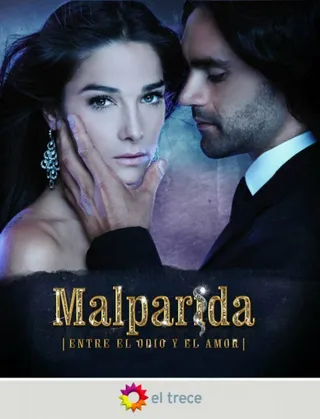 Постер Мерзавка (2010)
