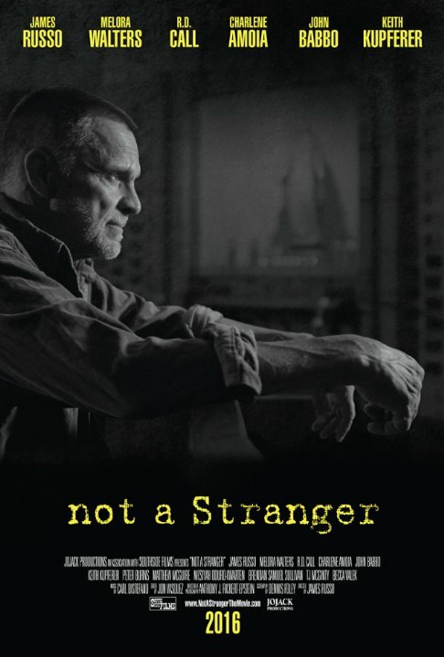 Постер фильма Not a Stranger