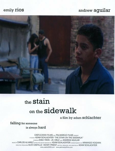 Постер фильма The Stain on the Sidewalk