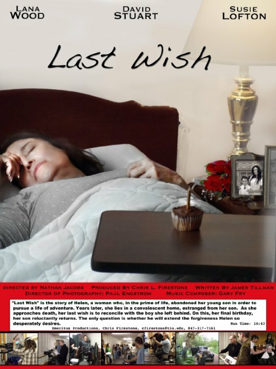 Постер фильма Last Wish