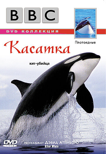 Постер фильма BBC: Касатка