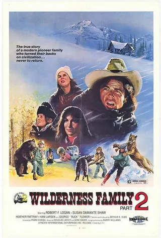 Постер Семья в медвежьей глуши 2 (1978)