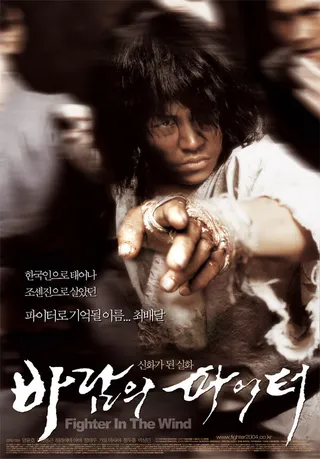Постер Воин ветра (2004)