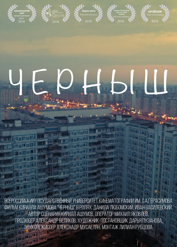 Постер фильма Черныш