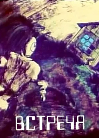 Постер Встреча (1984)