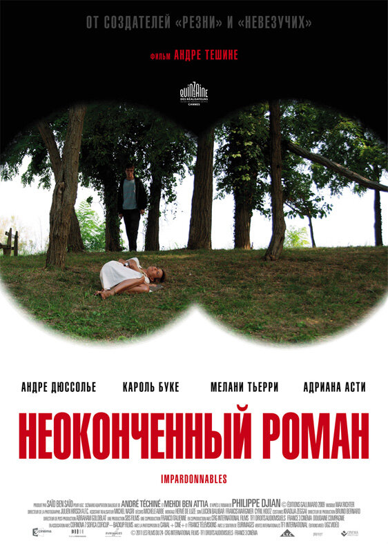 Постер фильма Неоконченный роман