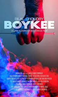 Boykee