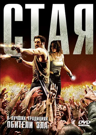 Постер Стая (2009)