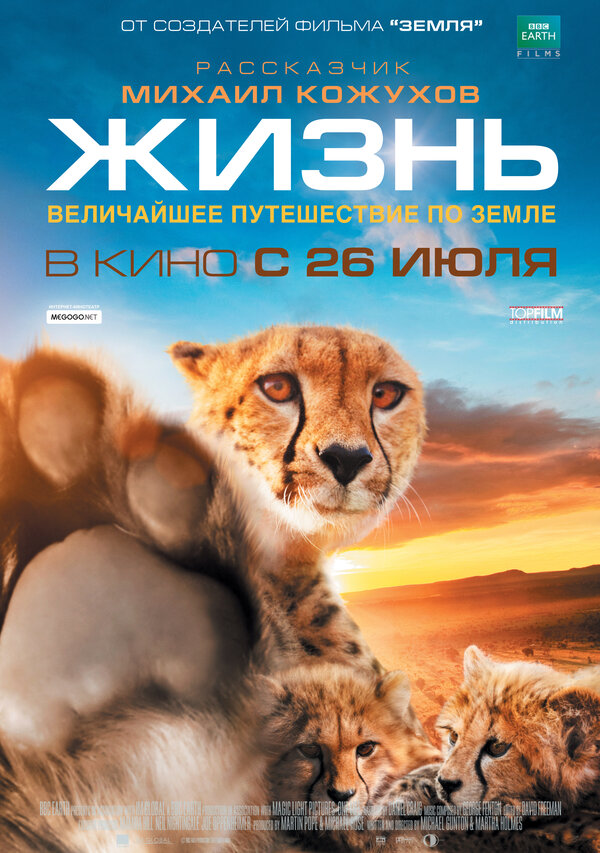 Постер фильма Жизнь