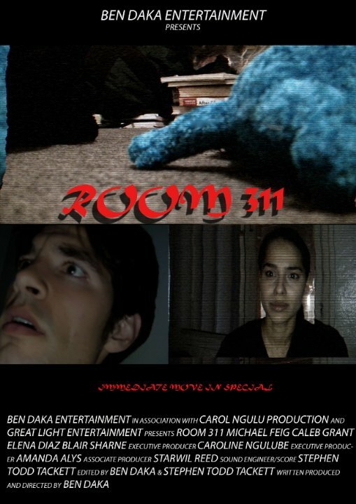 Постер фильма Room 311