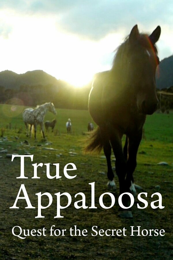 Постер фильма The Secret Horse: Quest for the True Appaloosa