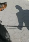 Брайан Ричард Мори