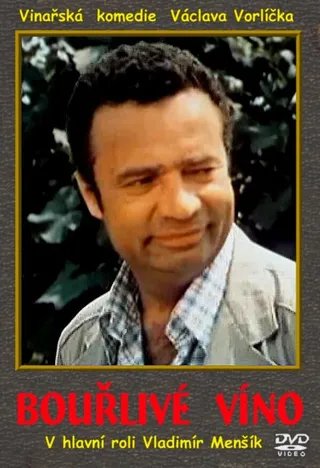 Постер Бурлящее вино (1976)