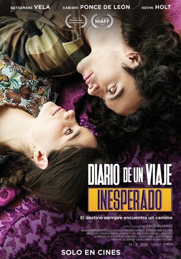 Постер фильма Diario de un viaje inesperado