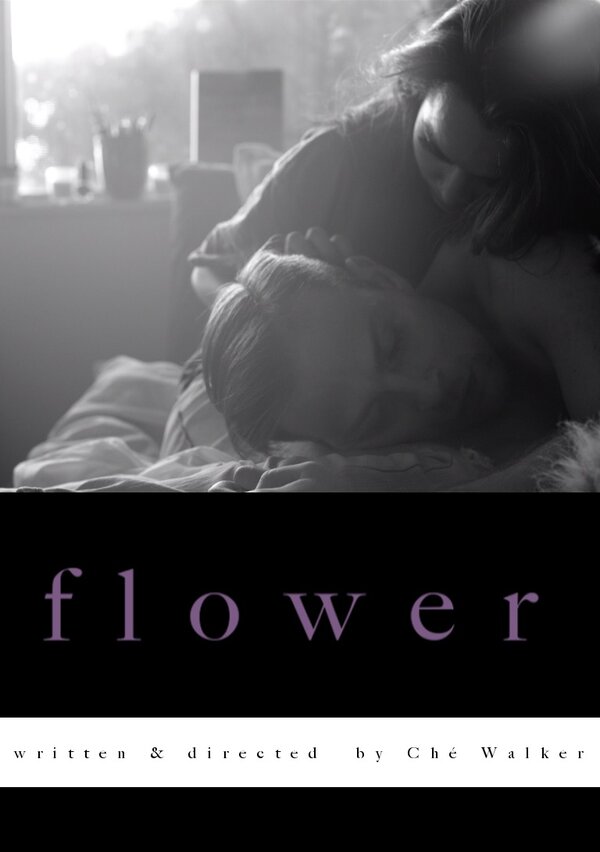 Постер фильма Flower
