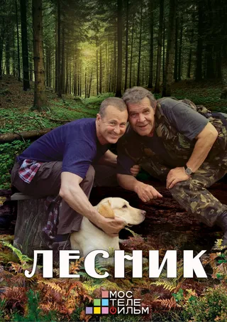 Постер Лесник 3 (2015)