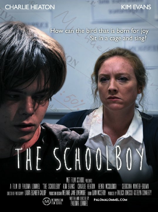 Постер фильма The Schoolboy
