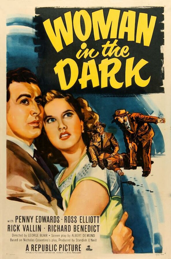 Постер фильма Woman in the Dark