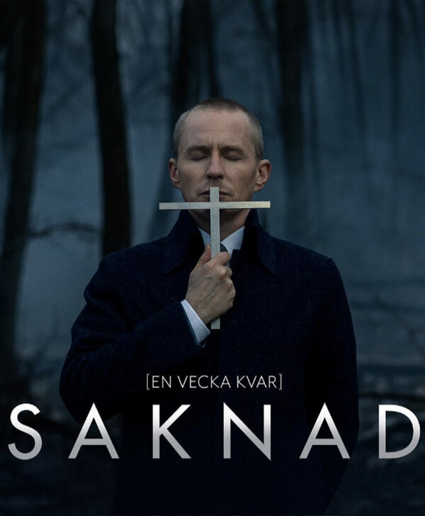 Постер сериала Пропавшая