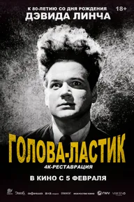 Голова-ластик