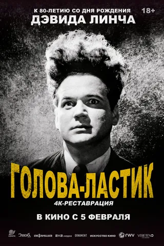 Постер Голова-ластик (1977)