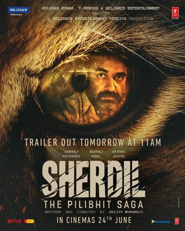 Постер фильма Sherdil