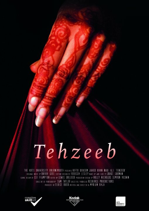 Постер фильма Tehzeeb