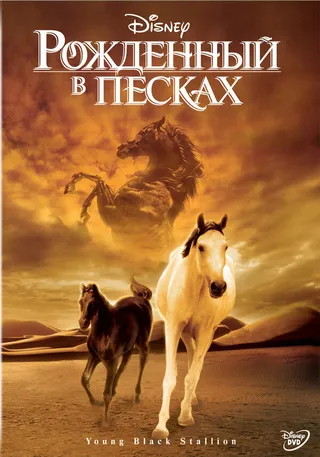 Постер Рожденный в песках (2003)