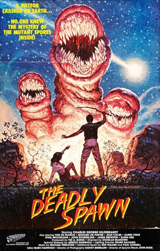 Постер Смертельный выводок (1982)