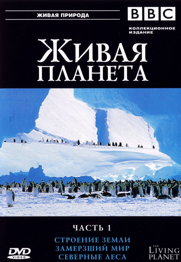 Постер BBC: Живая планета
