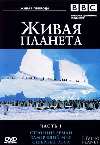 Постер BBC: Живая планета (1984)