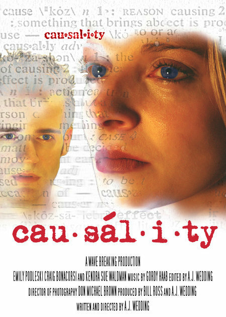 Постер фильма Causality