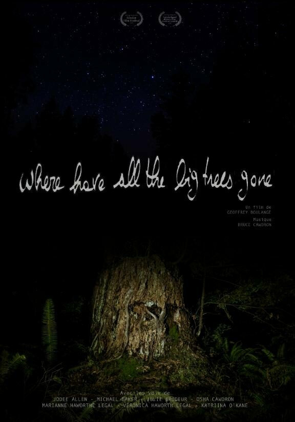 Постер фильма Where Have All the Big Trees Gone