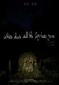 Where Have All the Big Trees Gone
