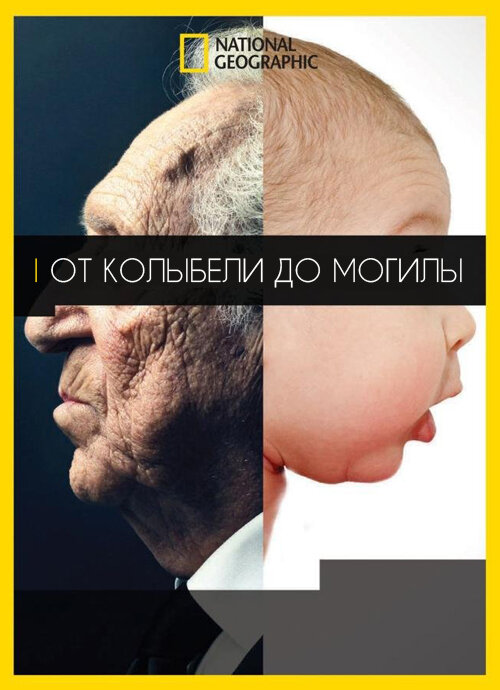 Постер фильма От колыбели до могилы
