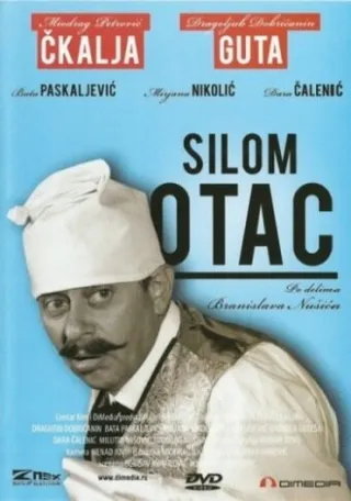 Постер Отец по принуждению (1969)