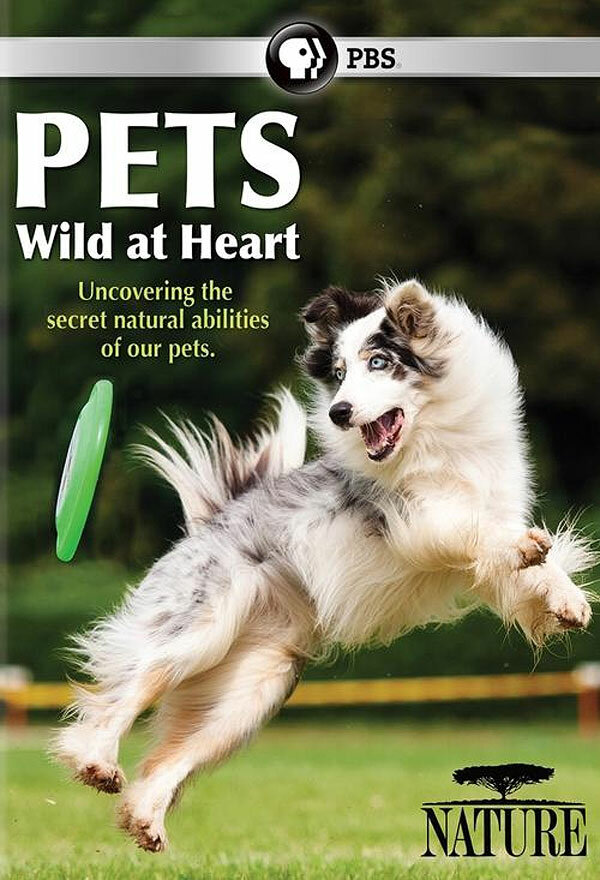 Постер сериала Pets: Wild at Heart
