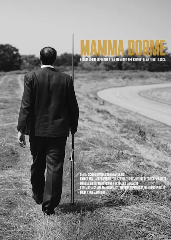 Постер фильма Mamma dorme