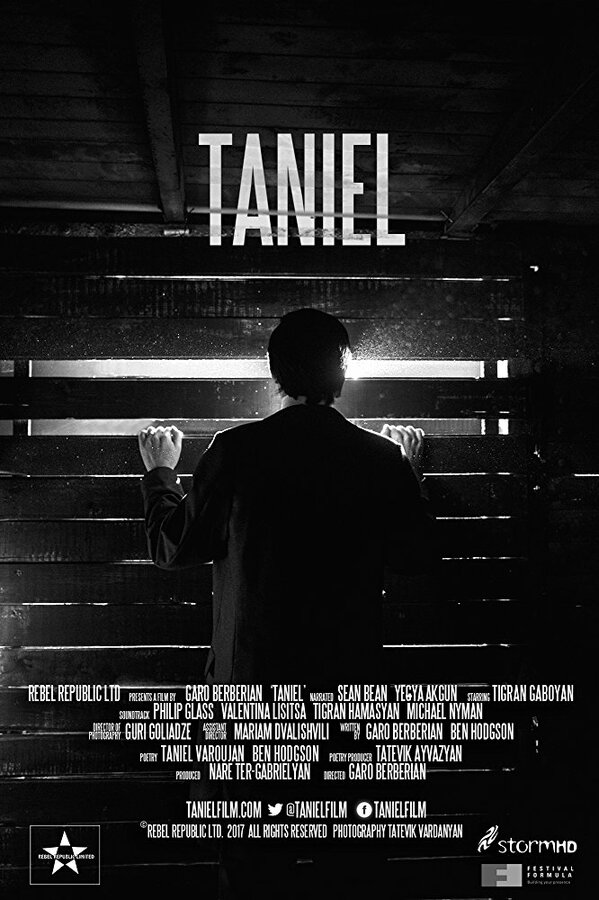 Постер фильма Taniel