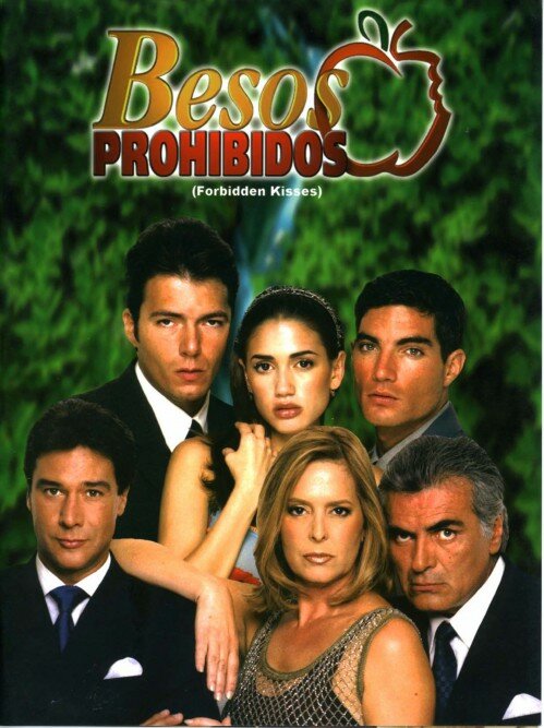 Постер сериала Запретные поцелуи