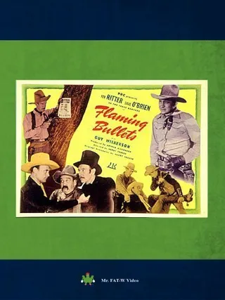 Постер Flaming Bullets (1945)
