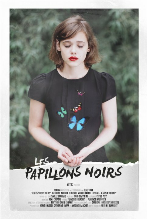 Постер фильма Les papillons noirs