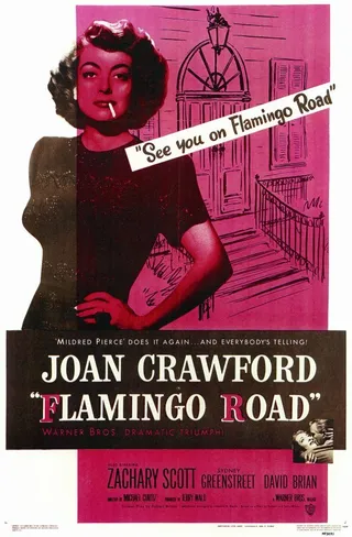 Постер Путь фламинго (1949)