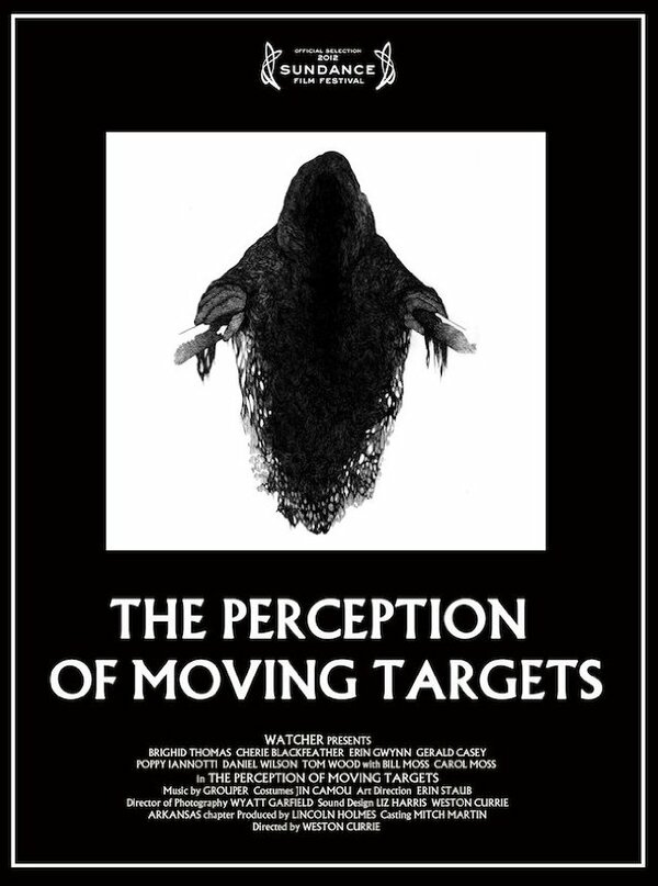 Постер фильма The Perception of Moving Targets